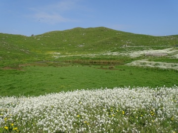 2021-06-05-monte-Guglielmo-29