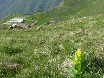 2021-06-05-monte-Guglielmo-33