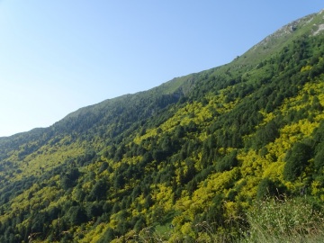 2020-06-24-monte-Guglielmo-14