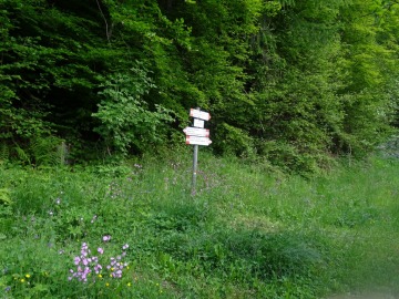 2021-06-02-Muffetto-18