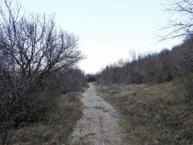 2018-01-21 Monte Pastello da Ceraino e forti (120)