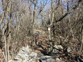 2018-01-21 Monte Pastello da Ceraino e forti (168)