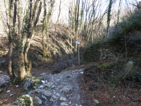 2018-01-21 Monte Pastello da Ceraino e forti (187)