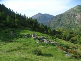 2017-06-21 monte Remà valle Aperta (14)
