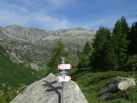 2017-06-21 monte Remà valle Aperta (15)