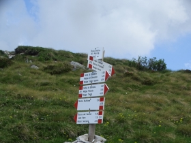 2017-06-21 monte Remà valle Aperta (19)