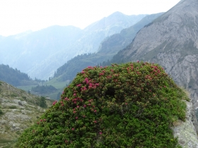 2017-06-21 monte Remà valle Aperta (53)