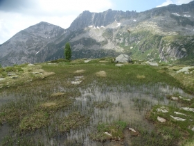 2017-06-21 monte Remà valle Aperta (55)