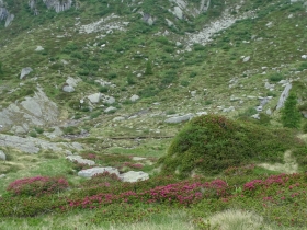 2017-06-21 monte Remà valle Aperta (57)