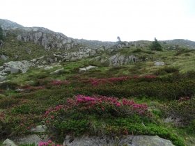 2017-06-21 monte Remà valle Aperta (58)