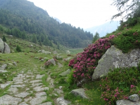 2017-06-21 monte Remà valle Aperta (60)