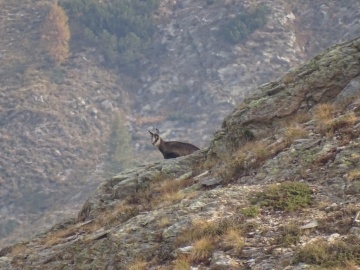 2023-10-14-passo-Tonale-Orobie-25