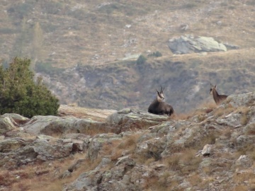 2023-10-14-passo-Tonale-Orobie-29