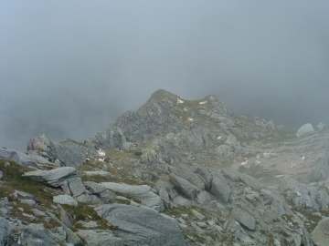 2005-07-24 monte Treconfini-Venerocolo (18)