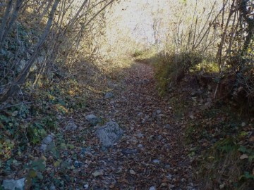 2023-11-25-monte-Vender-14