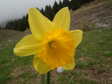 2011-04-23 monte visolo presolana 172