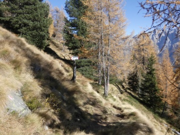 2019-10-27-monte-Zeledria-e-6-laghi-207