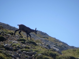 2018-09-09 cima Palon Roite (35)