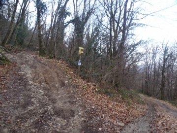 2025-03-02-monte-Palosso-da-Carcina-15