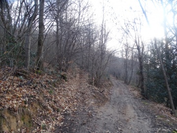 2025-03-02-monte-Palosso-da-Carcina-18