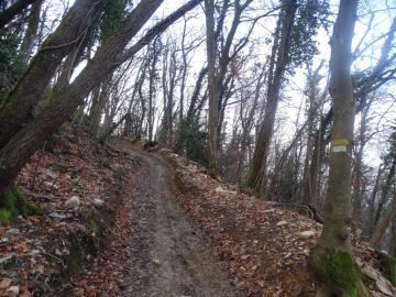 2025-03-02-monte-Palosso-da-Carcina-21
