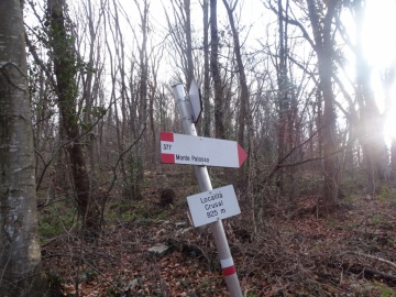 2025-03-02-monte-Palosso-da-Carcina-22
