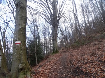 2025-03-02-monte-Palosso-da-Carcina-23