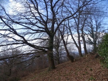 2025-03-02-monte-Palosso-da-Carcina-36