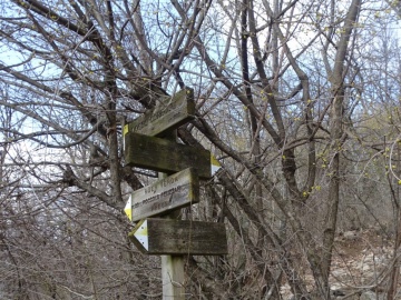 2025-03-02-monte-Palosso-da-Carcina-43