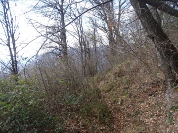 2025-03-02-monte-Palosso-da-Carcina-44