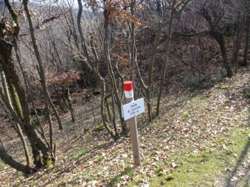 2025-03-02-monte-Palosso-da-Carcina-51