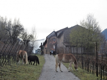 2018-11-25 passo Buole 018