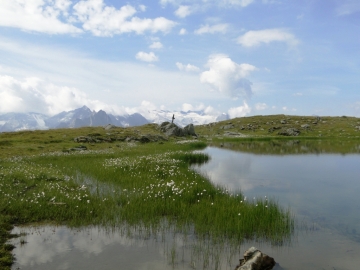 2012-08-05 Girovagando in Tonale 013.JPG