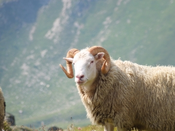 2012-08-05 passo contrabbandieri 025.jpg