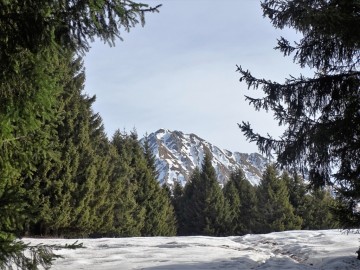 2023-02-18-p.so-del-Costone-37