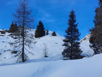 2024-01-14-Forzelin-da-Mortaso-21a