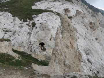 2012-07-04 passo del frate monte corona 069.jpg