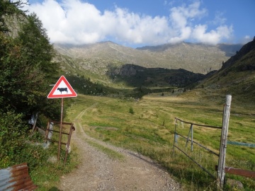 2022-08-03-passo-del-Sellerino-e-Vivione-14