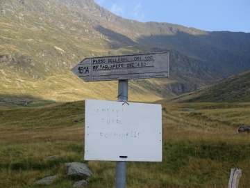 2022-08-03-passo-del-Sellerino-e-Vivione-18