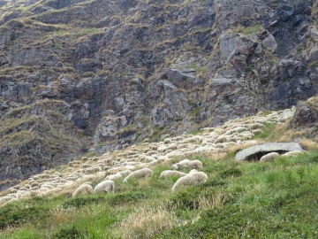 2022-08-03-passo-del-Sellerino-e-Vivione-91