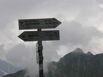 08 2008-07-02 stambecchi al cozzo 131