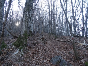 2024-01-20-passo-Fobia-Piovere-43