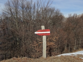 2017-02-26 passo Zeno e Cocca Bassa (30)