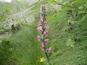 2014-07-27 Monte Frerone_Val Fredda (41)