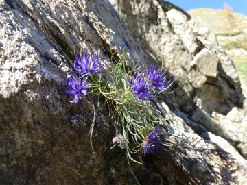 2014-10-18 laghi Torena (27)