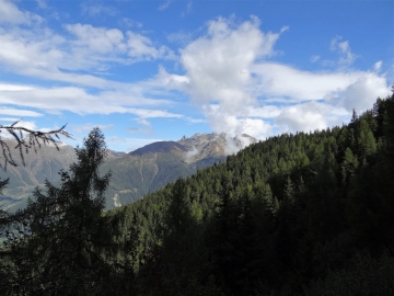 2017-09-24 cima Salì Piana dei Morei (14)