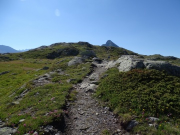 2022-07-02-Piz-Campasc-107