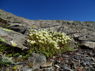 2022-07-13-Piz-La-Stretta-o-Breva-39