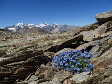 2022-07-13-Piz-La-Stretta-o-Breva-43