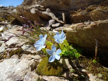 2022-07-13-Piz-La-Stretta-o-Breva-51